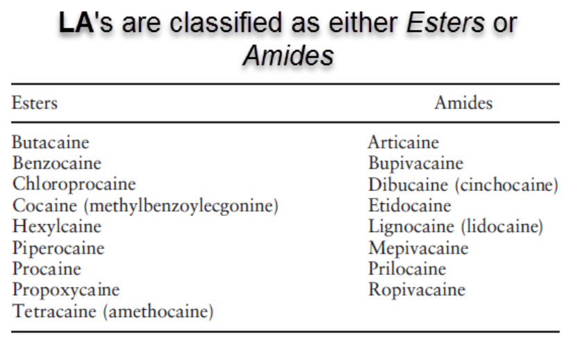 Local Anaesthetic Allergy & Testing13